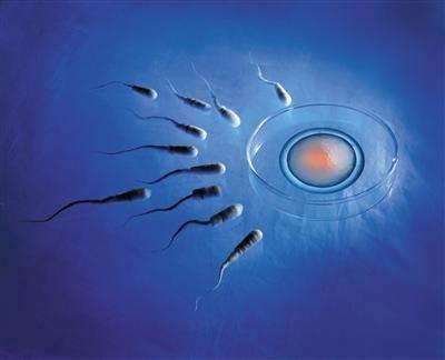 苏主任